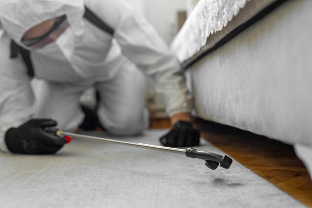 Professional Pest Control technician working in Ridge Wood Heights, FL