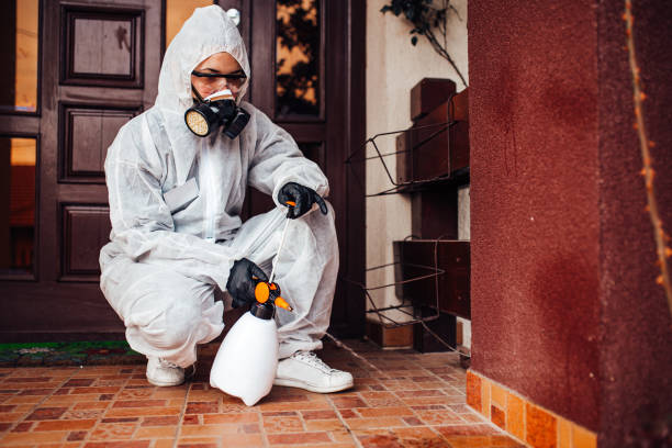 Reliable Cockroach Control contractor in Ridge Wood Heights, FL by Nex Pest Control