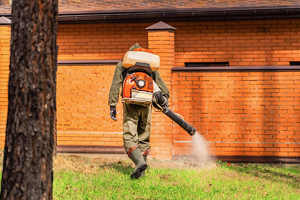 Trusted Termite Control service in Ridge Wood Heights, FL - Nex Pest Control